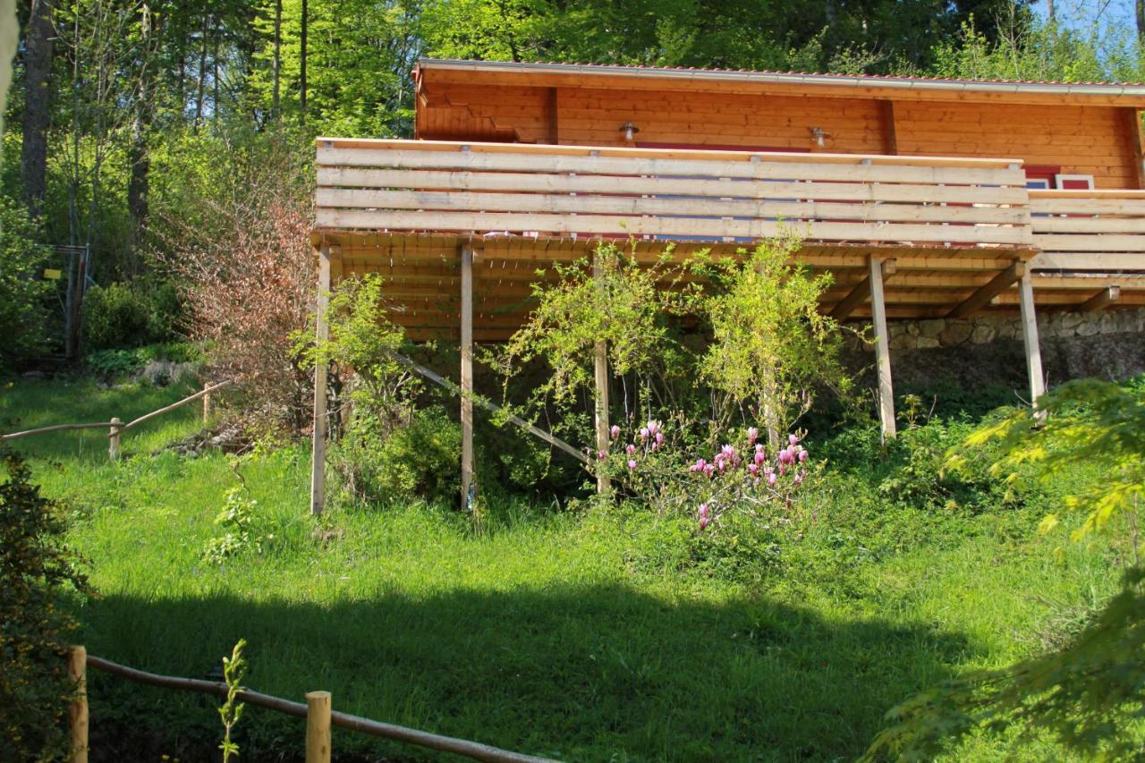 Blockhaus Saeuling - Haus Elise Apartments Füssen Esterno foto